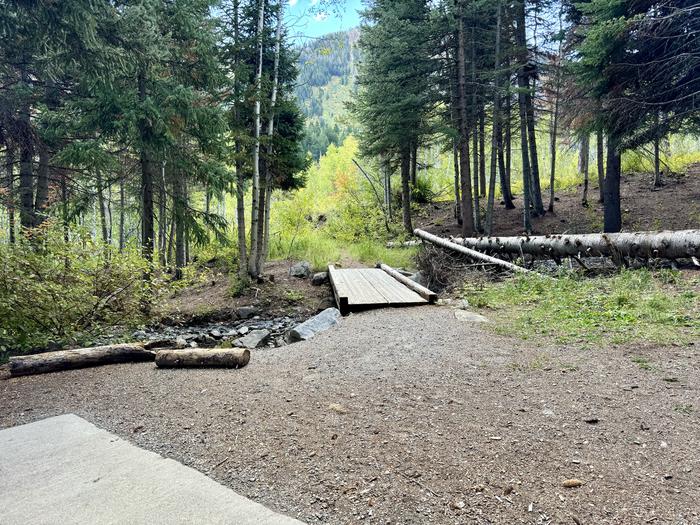 River to Picnic Table