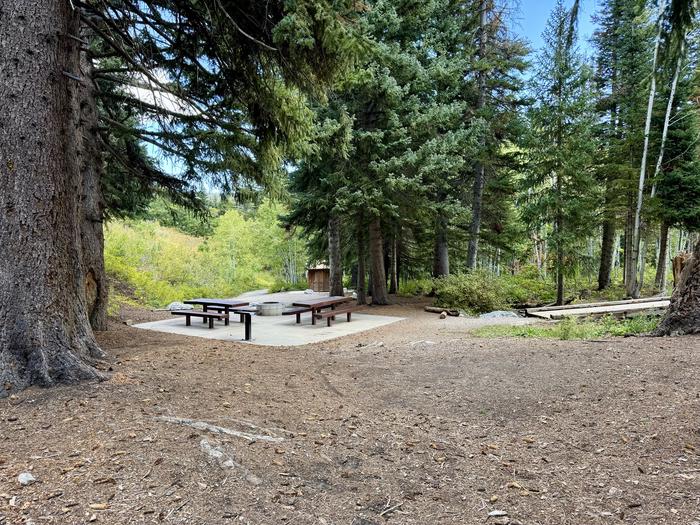 Tent Pad and Picnic Table 2