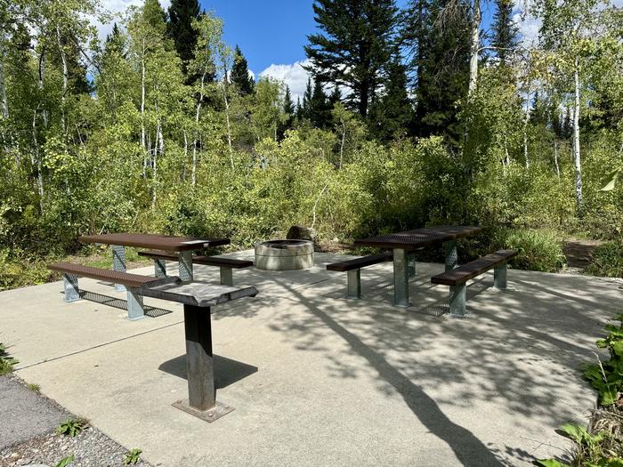 Picnic Table and Fire Ring