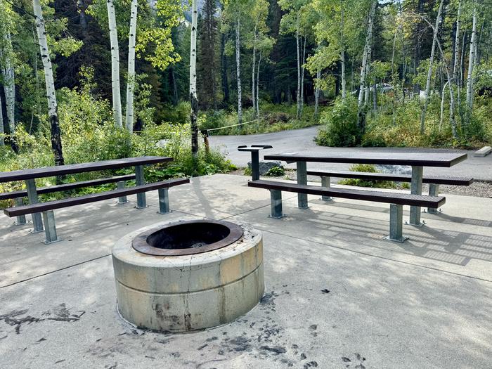 Picnic Table and Fire Ring 2