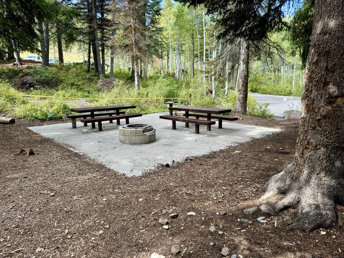 Picnic Table and Fire Ring 3