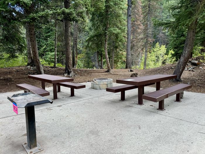 Picnic Table and Fire Ring 2