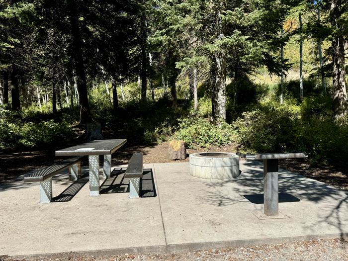 Picnic Table and Fire Ring