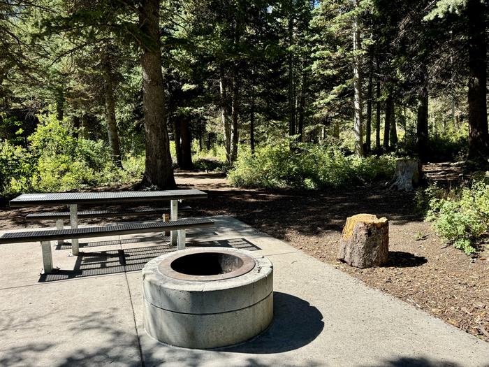 Picnic Table and Fire Ring 2