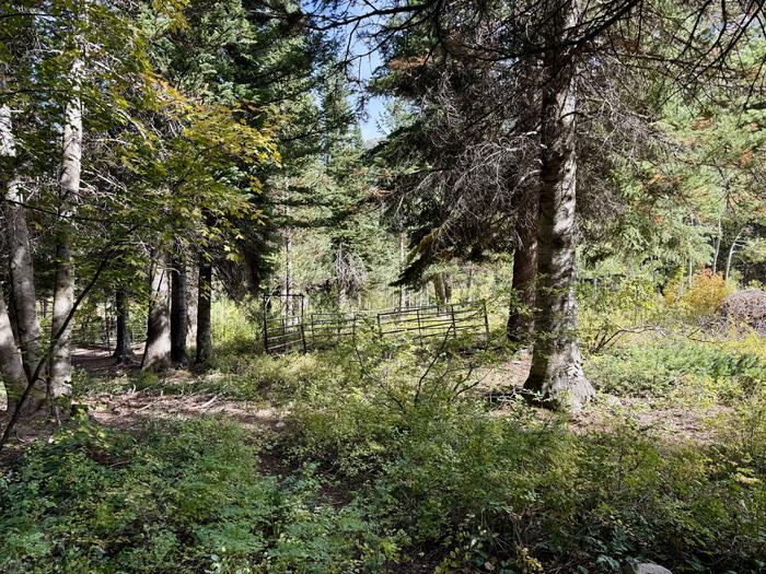 A photo of Site 009 of Loop TIMPOONEKE at TIMPOONEKE with Picnic Table