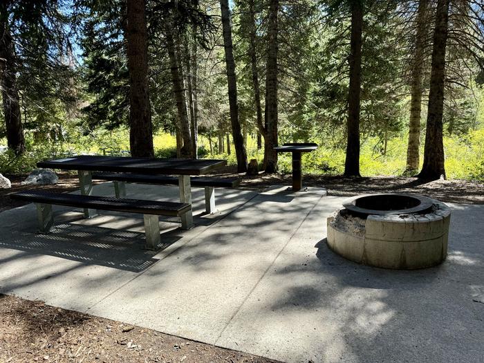 Picnic Table and Fire Ring