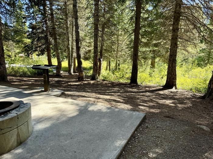 Tent Pad and Picnic Table