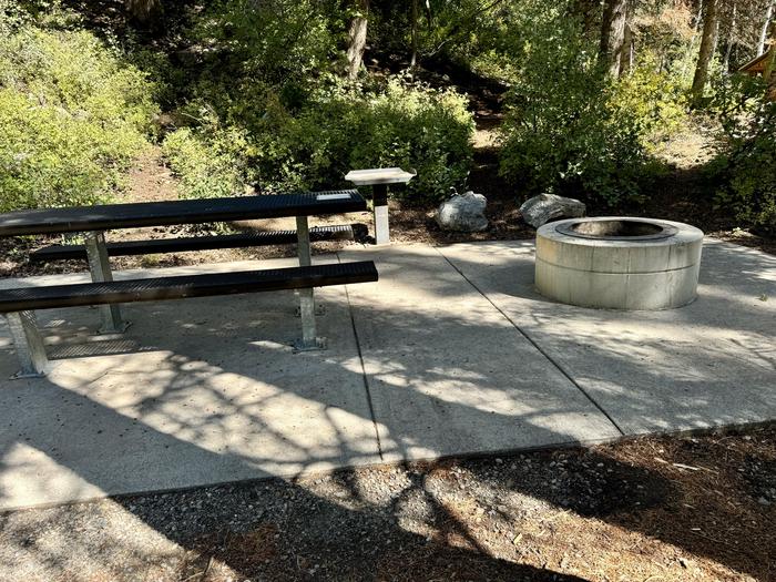 Picnic Table and Fire Ring