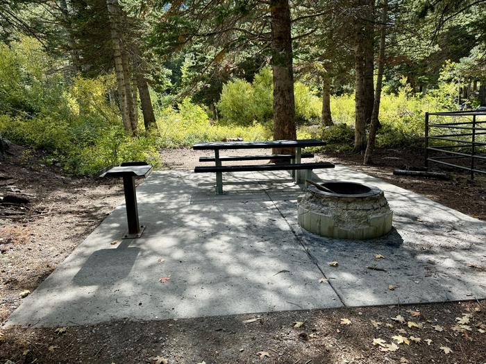 Picnic Table and Fire Ring