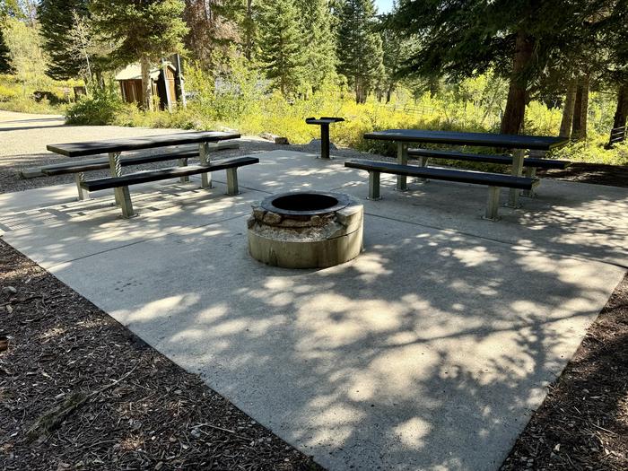 Picnic Table and Fire Ring 3