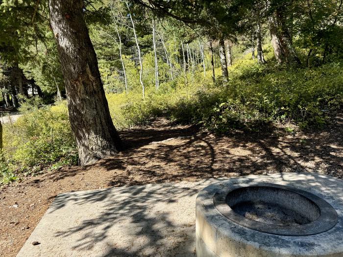 Tent Pad and Picnic Table