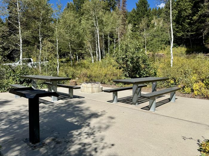 Picnic Table and Fire Ring