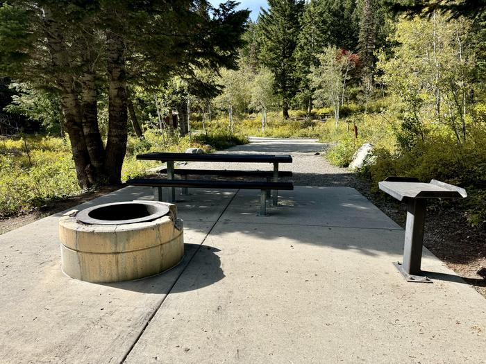 Picnic Table and Fire Ring 2