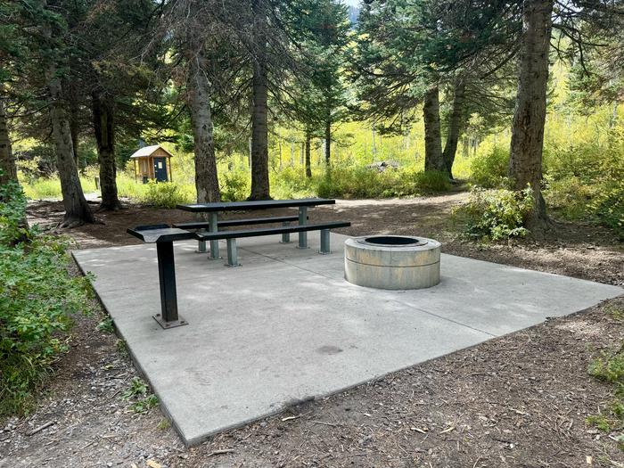 Picnic Table and Fire Ring