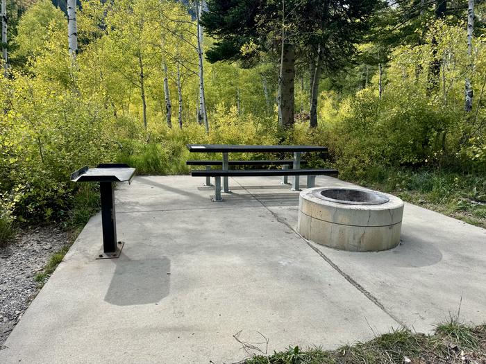 Picnic Table and Fire Ring