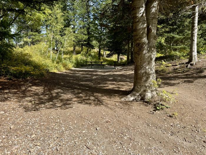 Tent Pad to Picnic Table