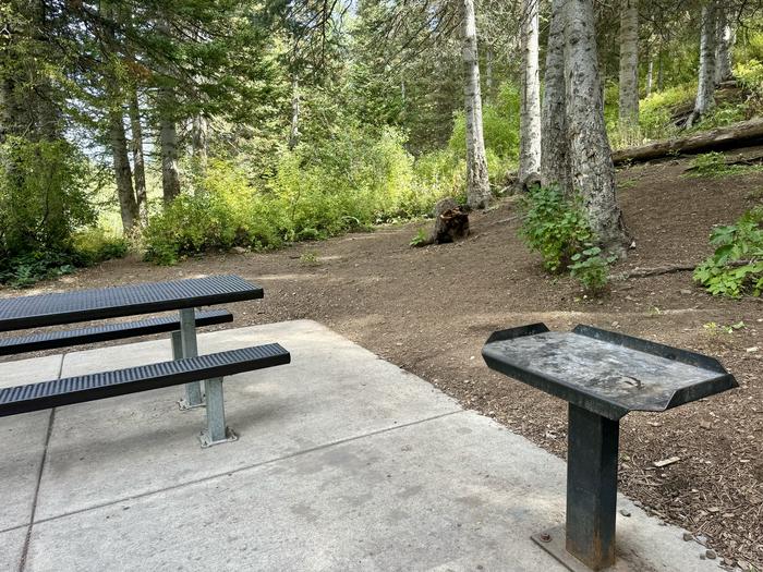 Picnic Table to Tent Pad