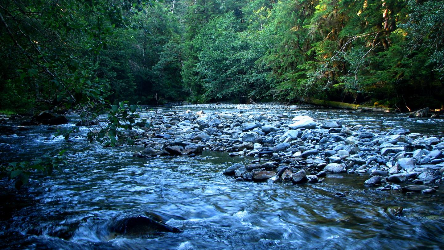 Skokomish River