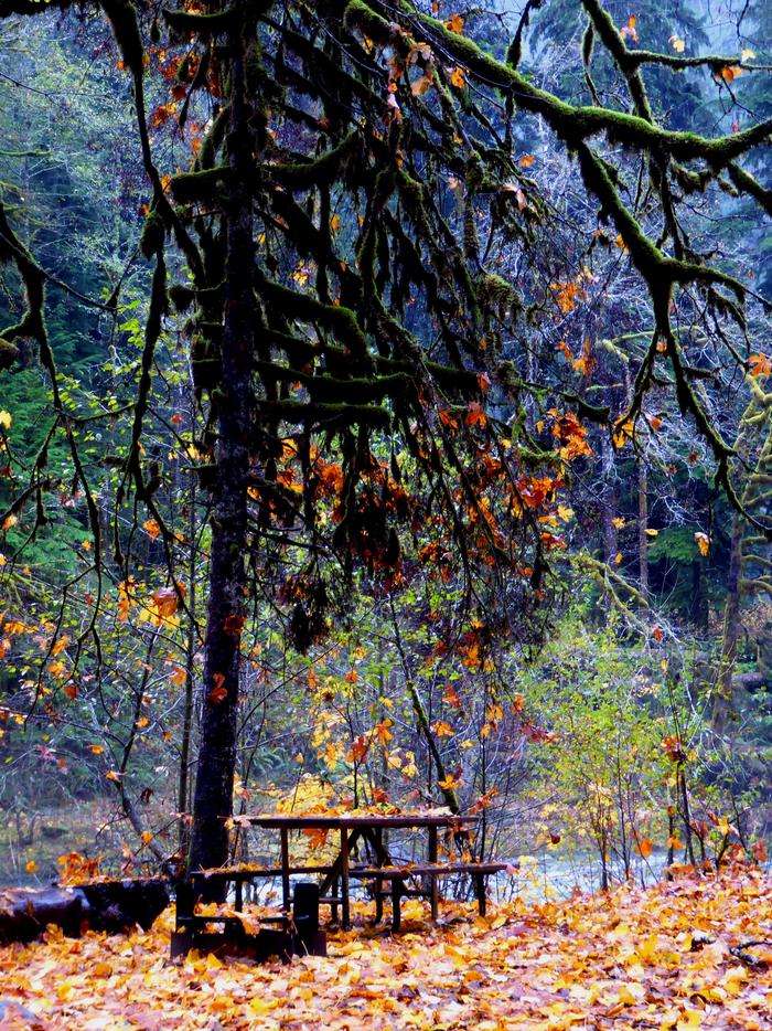 Campsite in the Fall