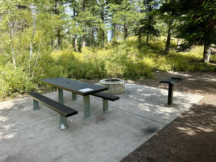 Picnic Table and Fire Ring