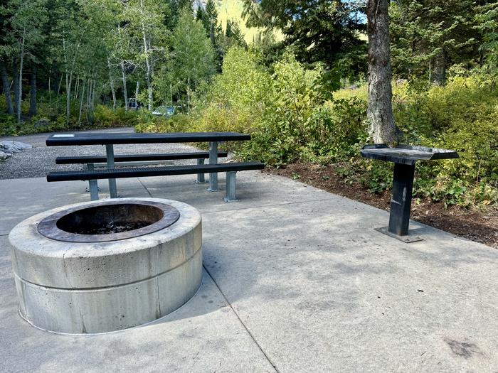 Picnic Table and Fire Ring