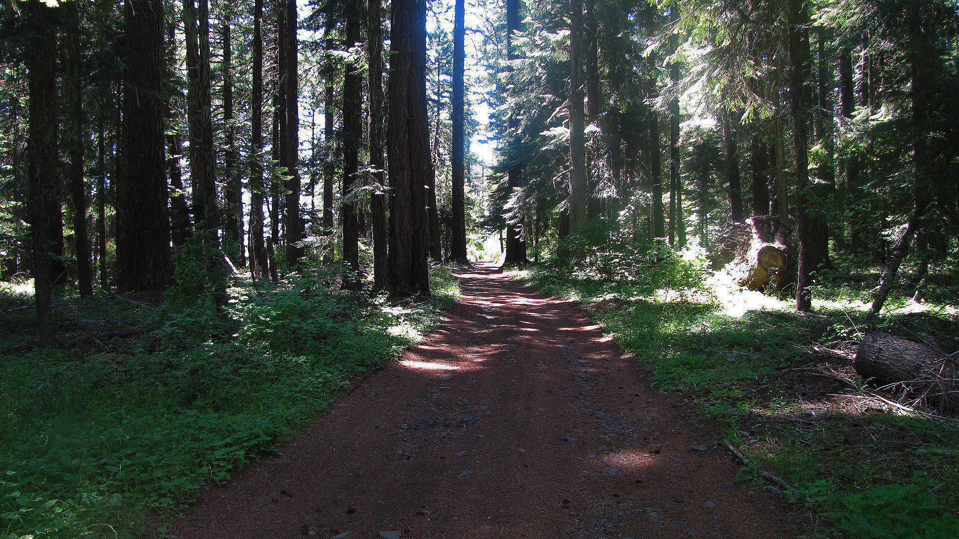 Along the Road to the Baker Cypress Trail.