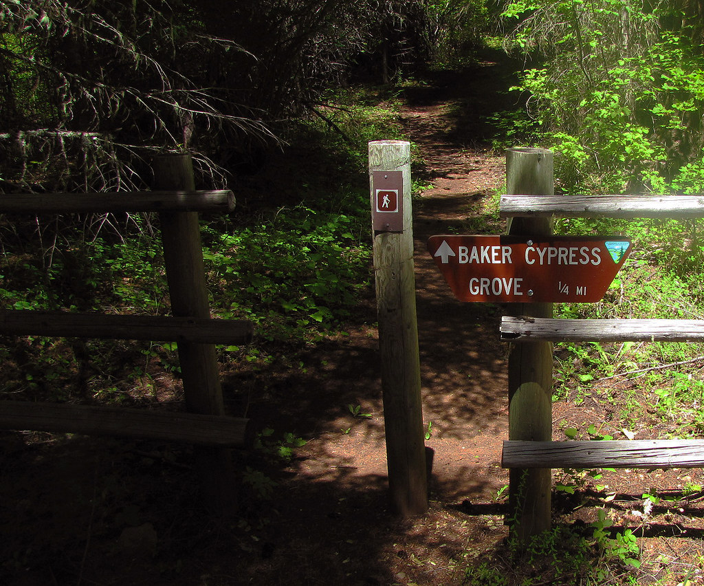 Baker Cypress Trailhead.