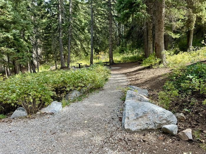 Picnic Table to Tent Pad