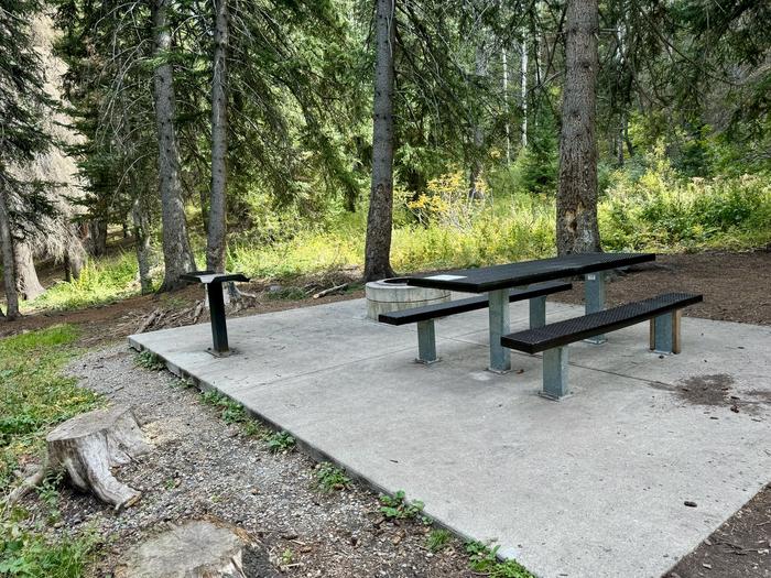 Picnic Table and Fire Ring