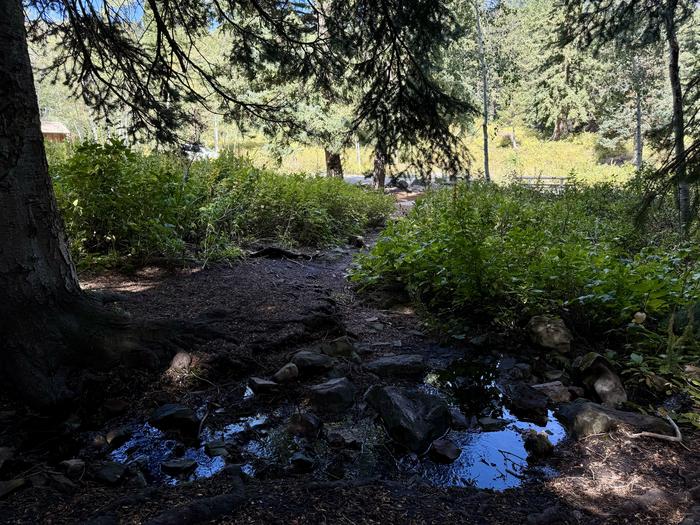 Stream to Picnic Table