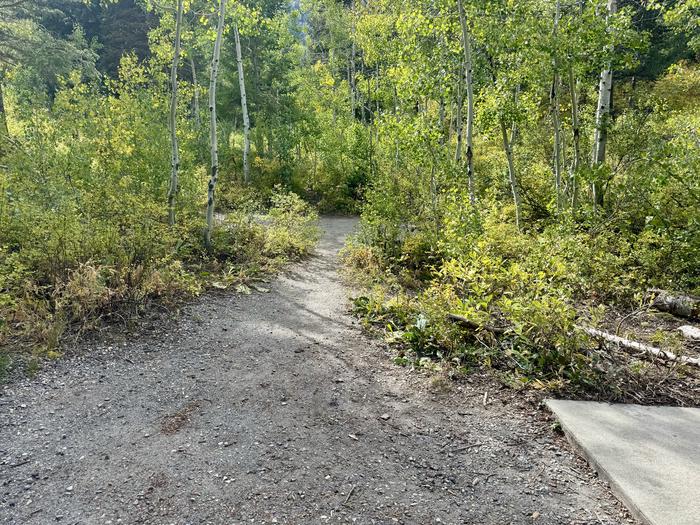 Parking Spur to Picnic Tables