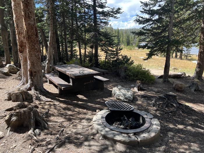 A photo of Site 044 of Loop TRIA at TRIAL LAKE CAMPGROUND with Picnic Table, Fire Pit, Waterfront