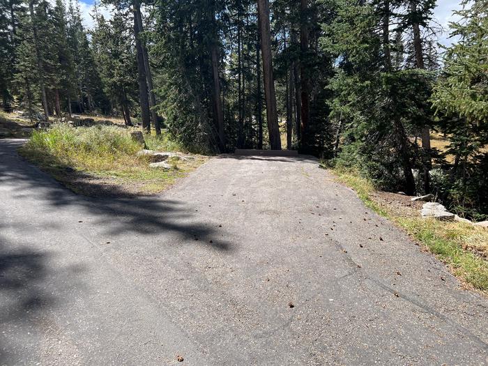 A photo of Site 044 of Loop TRIA at TRIAL LAKE CAMPGROUND with No Amenities Shown