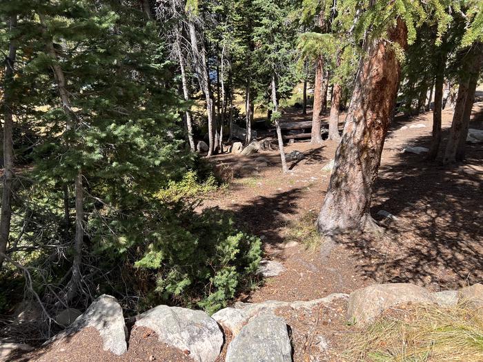 A photo of Site 044 of Loop TRIA at TRIAL LAKE CAMPGROUND with No Amenities Shown