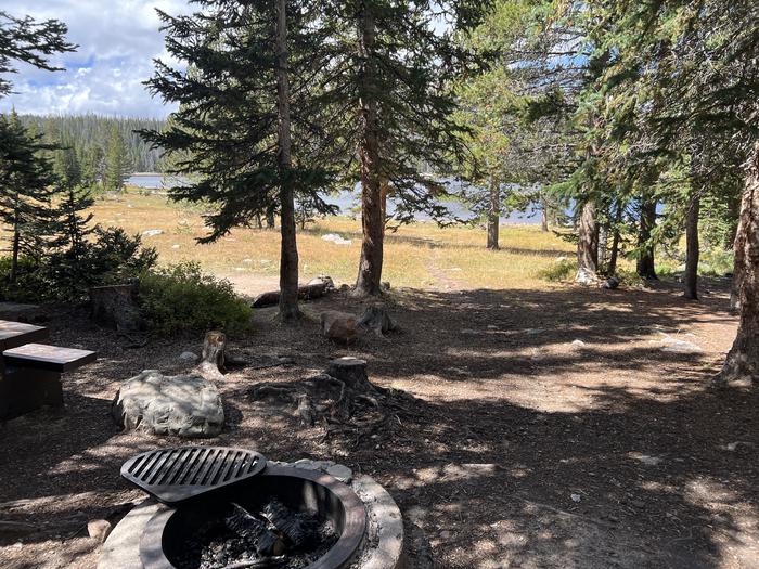 A photo of Site 044 of Loop TRIA at TRIAL LAKE CAMPGROUND with Fire Pit, Waterfront