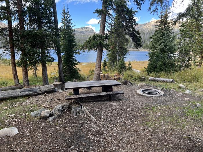 A photo of Site 058 of Loop TRIA at TRIAL LAKE CAMPGROUND with Picnic Table, Fire Pit, Waterfront