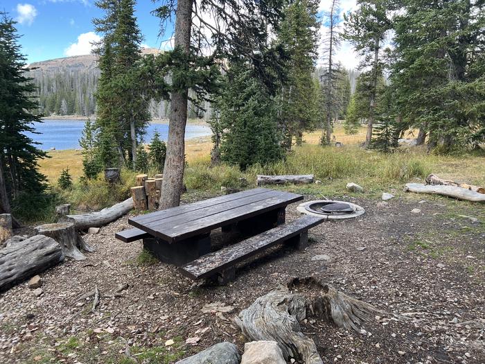 A photo of Site 058 of Loop TRIA at TRIAL LAKE CAMPGROUND with Picnic Table, Fire Pit, Waterfront