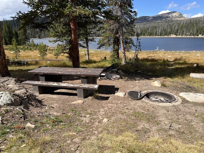 A photo of Site 057 of Loop TRIA at TRIAL LAKE CAMPGROUND with Picnic Table, Fire Pit, Waterfront