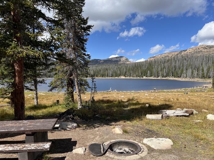 A photo of Site 057 of Loop TRIA at TRIAL LAKE CAMPGROUND with Picnic Table, Fire Pit, Waterfront