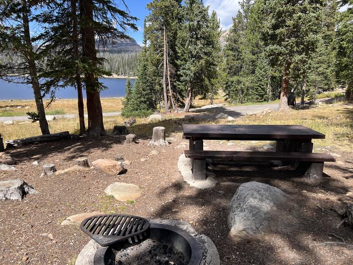 A photo of Site 055 of Loop TRIA at TRIAL LAKE CAMPGROUND with Picnic Table, Fire Pit, Waterfront