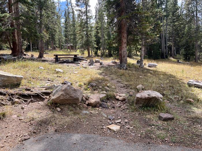 A photo of Site 055 of Loop TRIA at TRIAL LAKE CAMPGROUND with Picnic Table