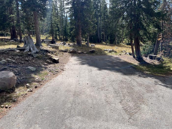 A photo of Site 055 of Loop TRIA at TRIAL LAKE CAMPGROUND with No Amenities Shown