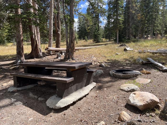 A photo of Site 055 of Loop TRIA at TRIAL LAKE CAMPGROUND with Picnic Table, Fire Pit