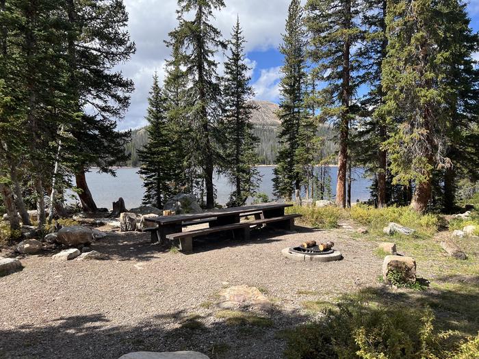 A photo of Site 052 of Loop TRIA at TRIAL LAKE CAMPGROUND with Picnic Table, Fire Pit, Waterfront