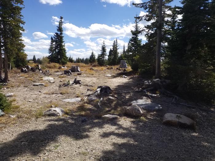 Brooklyn Lake CG site 3 tent space