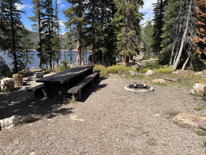 A photo of Site 052 of Loop TRIA at TRIAL LAKE CAMPGROUND with Picnic Table, Fire Pit, Waterfront