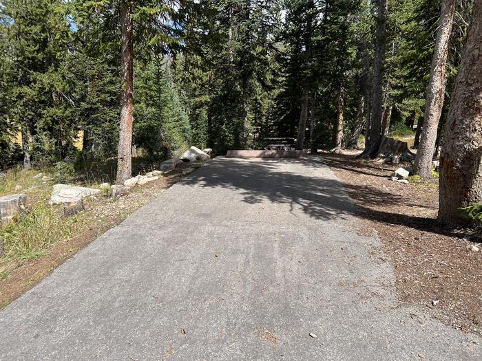 A photo of Site 043 of Loop TRIA at TRIAL LAKE CAMPGROUND with No Amenities Shown