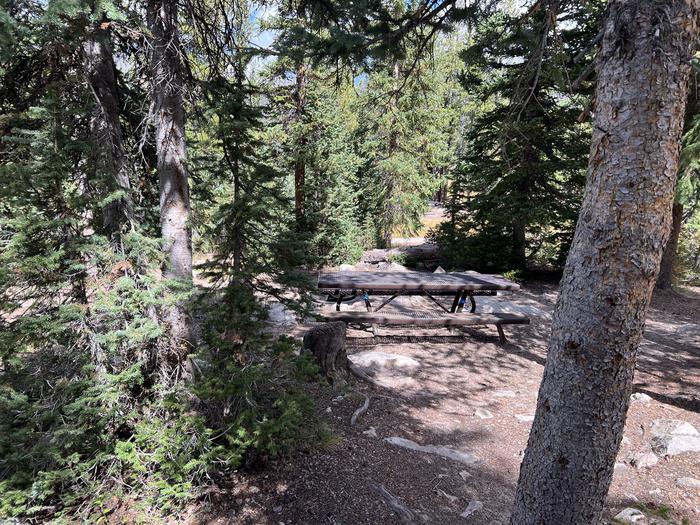 A photo of Site 043 of Loop TRIA at TRIAL LAKE CAMPGROUND with Picnic Table