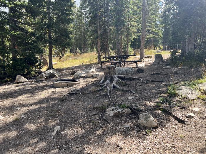 A photo of Site 043 of Loop TRIA at TRIAL LAKE CAMPGROUND with Picnic Table, Fire Pit