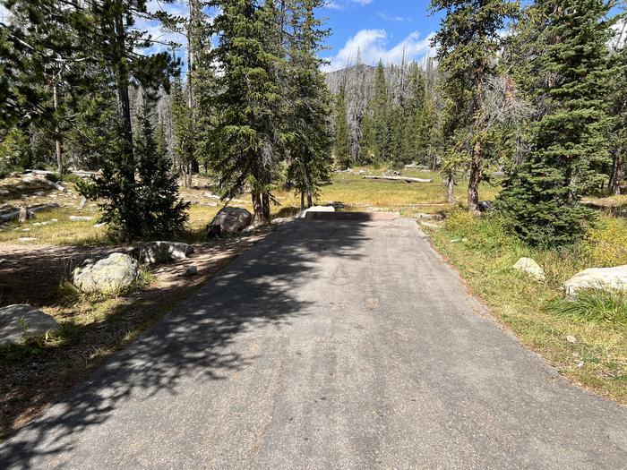 A photo of Site 050 of Loop TRIA at TRIAL LAKE CAMPGROUND with No Amenities Shown